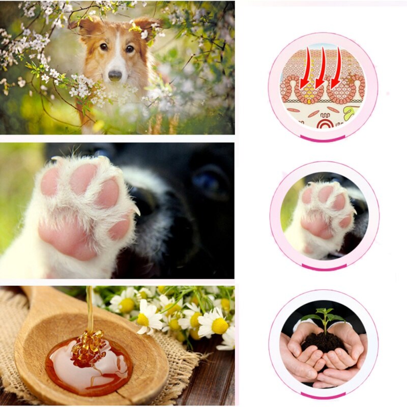 New Pet Paw Care Creams Puppy Dog Cat Paw Anti-cracking Care cream Moisturizing Protection Forefoot Toe Safety Health New Pet Paw Care Creams Puppy Dog Cat Paw Anti-cracking Care cream Moisturizing Protection Forefoot Toe Safety Health