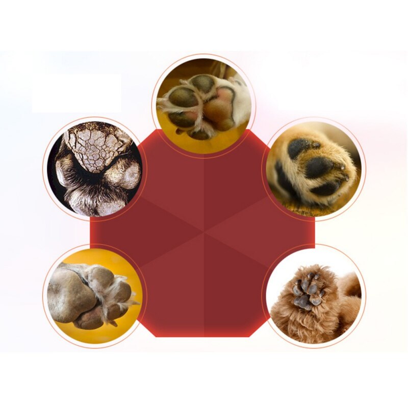 New Pet Paw Care Creams Puppy Dog Cat Paw Anti-cracking Care cream Moisturizing Protection Forefoot Toe Safety Health New Pet Paw Care Creams Puppy Dog Cat Paw Anti-cracking Care cream Moisturizing Protection Forefoot Toe Safety Health