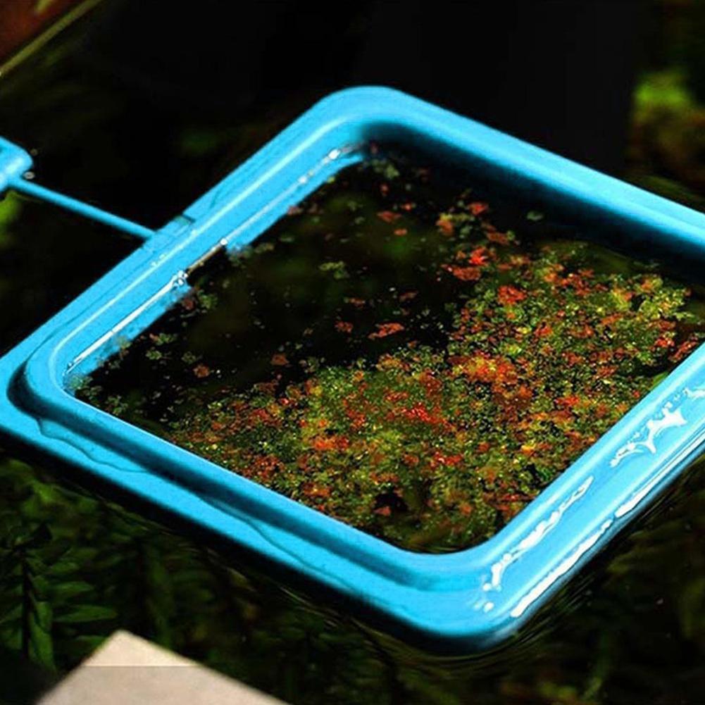 New 1pcs Fish Food Ring Aquarium Fish Tank Small Type Tropical Fish Feeder Feeding Ring Aquarium Accessories New 1pcs Fish Food Ring Aquarium Fish Tank Small Type Tropical Fish Feeder Feeding Ring Aquarium Accessories