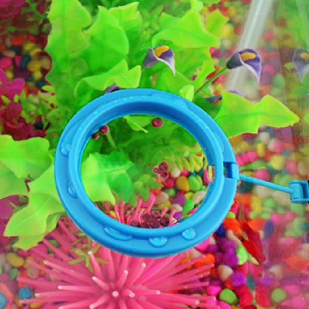 New 1pcs Fish Food Ring Aquarium Fish Tank Small Type Tropical Fish Feeder Feeding Ring Aquarium Accessories New 1pcs Fish Food Ring Aquarium Fish Tank Small Type Tropical Fish Feeder Feeding Ring Aquarium Accessories