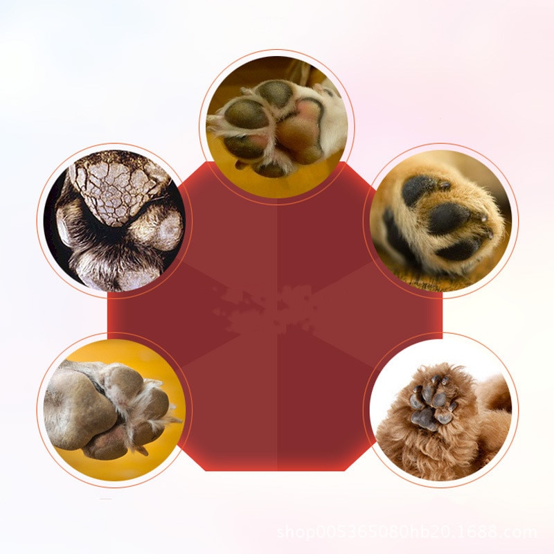 Pet Paw Care Creams Puppy Dog Cat Paw Anti-cracking Care Cream Moisturizing Protection Forefoot Toe Safety Health Pet Products Pet Paw Care Creams Puppy Dog Cat Paw Anti-cracking Care Cream Moisturizing Protection Forefoot Toe Safety Health Pet Products