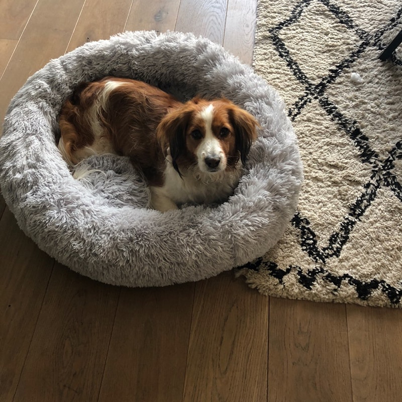 Warm Round Dog Bed 7 Sizes Round Pet Lounger Cushion For Small Medium Large Dogs & Cat Winter Dog Kennel Puppy Mat Pet Bed