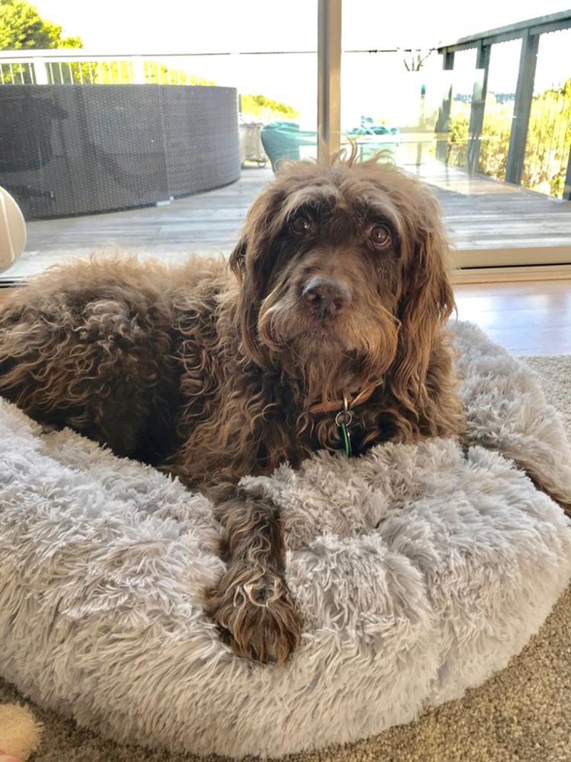 Warm Round Dog Bed 7 Sizes Round Pet Lounger Cushion For Small Medium Large Dogs & Cat Winter Dog Kennel Puppy Mat Pet Bed