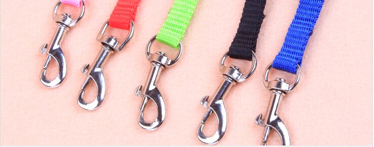 1PC Cat Dog Leash and Adjustable Collar Harness Nylon Pet Traction Cat Kitten Halter Cats Products for Cat Puppy Small Dogs 1PC Cat Dog Leash and Adjustable Collar Harness Nylon Pet Traction Cat Kitten Halter Cats Products for Cat Puppy Small Dogs