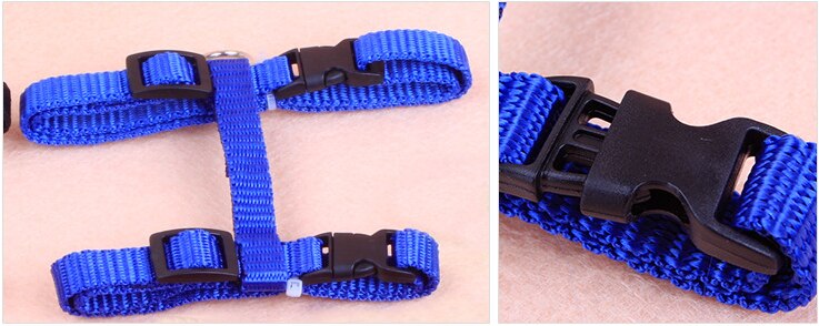 1PC Cat Dog Leash and Adjustable Collar Harness Nylon Pet Traction Cat Kitten Halter Cats Products for Cat Puppy Small Dogs 1PC Cat Dog Leash and Adjustable Collar Harness Nylon Pet Traction Cat Kitten Halter Cats Products for Cat Puppy Small Dogs