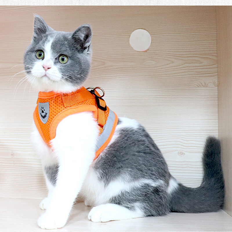 Cat Dog collar Adjustable Harness Vest Walking Lead Leash Collar for Dogs Puppy Mesh Harness For Small Medium Dog Cat Pet Bell Cat Dog collar Adjustable Harness Vest Walking Lead Leash Collar for Dogs Puppy Mesh Harness For Small Medium Dog Cat Pet Bell