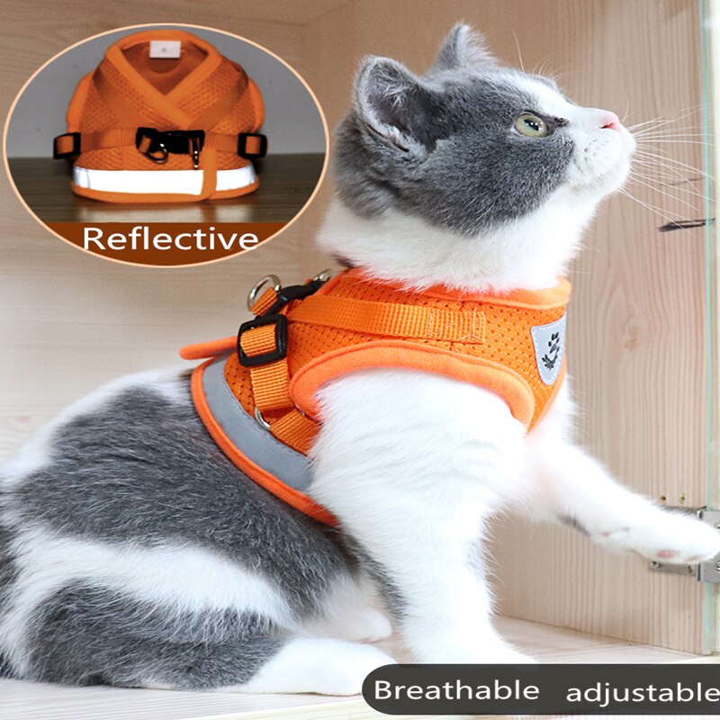 Cat Dog collar Adjustable Harness Vest Walking Lead Leash Collar for Dogs Puppy Mesh Harness For Small Medium Dog Cat Pet Bell Cat Dog collar Adjustable Harness Vest Walking Lead Leash Collar for Dogs Puppy Mesh Harness For Small Medium Dog Cat Pet Bell