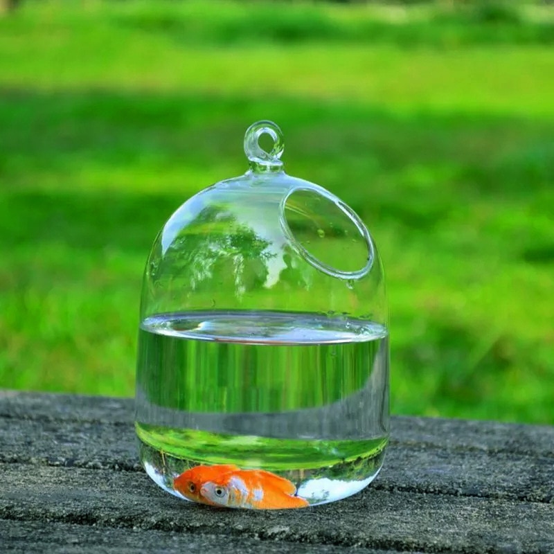 Hanging glass fish tank Aquarium Fish Bowl transparent goldfish Tank Plant Flower Vase Creative home desktop wedding decoration Hanging glass fish tank Aquarium Fish Bowl transparent goldfish Tank Plant Flower Vase Creative home desktop wedding decoration